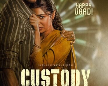 Download Custody (2023) 1080p | 720p | 480p WEB-HDRip x264 Esubs [Dual Audio] [Hindi ORG DD 5.1 – Telugu]